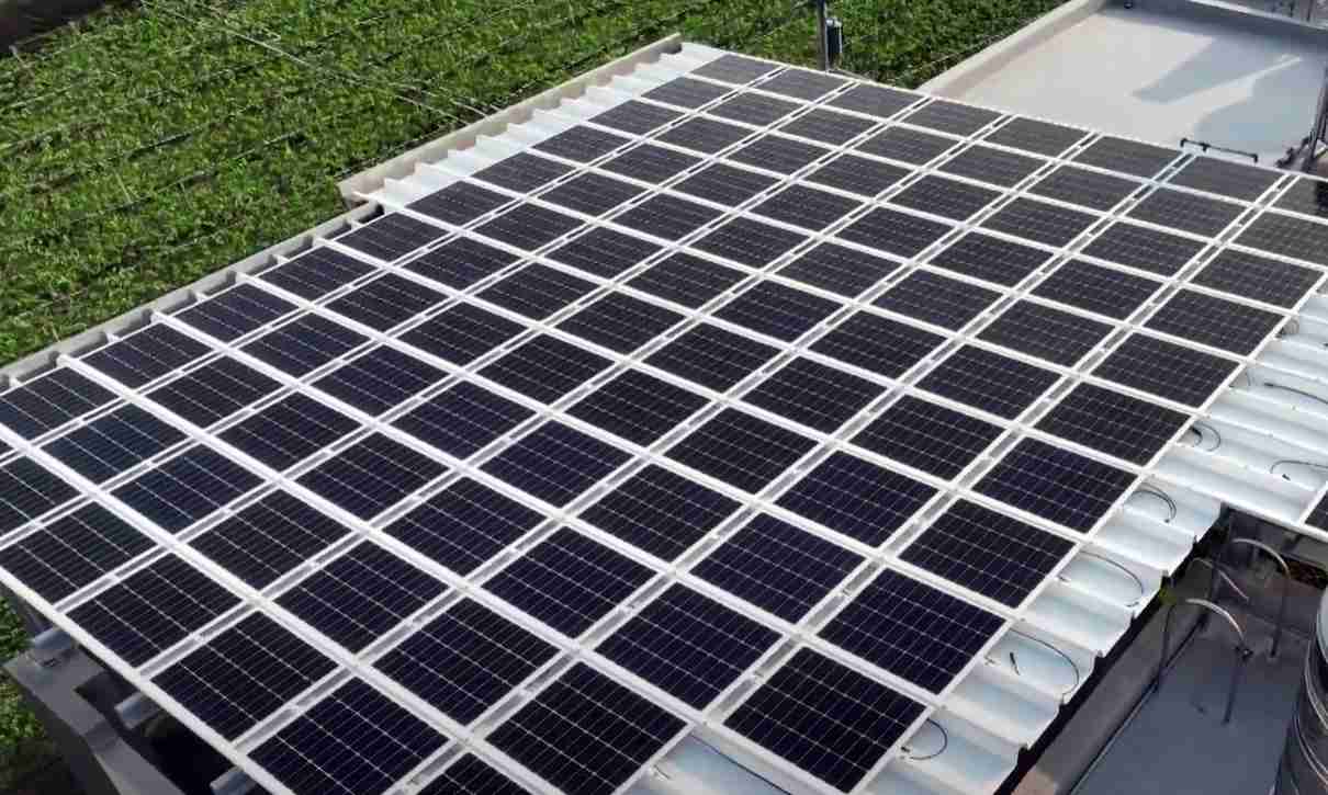 NG大舞台SunSteel光电浪板升级双玻结构，，，以提升机械负载强度及气候耐候度，，可广泛运用于多元场域