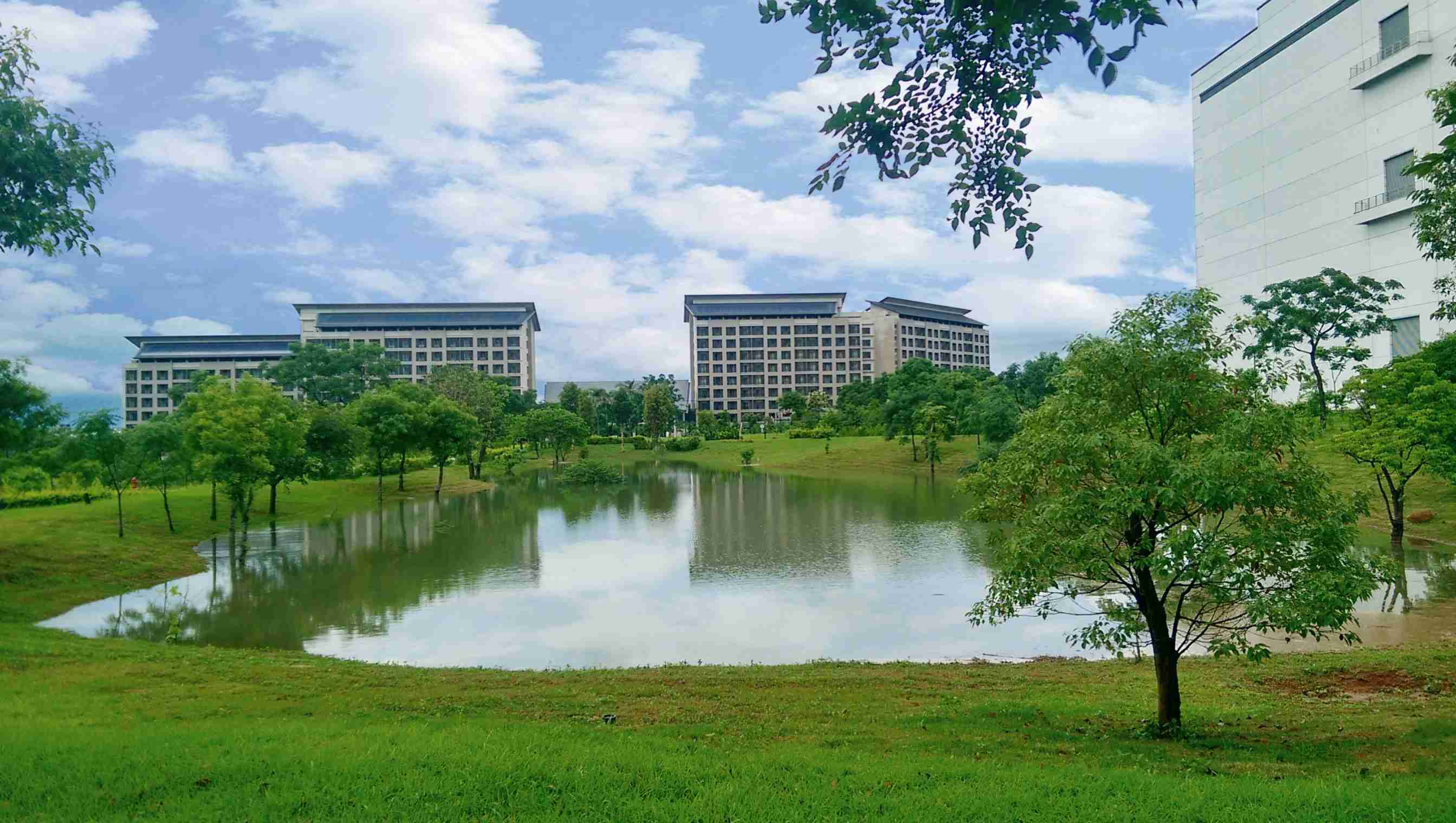 NG大舞台响应国际倡议生物多样性趋势，，，首次发布TNFD自然相关财务揭露报告书，，擘划及开展NG大舞台生物多样性政策之承诺，，，，逐步迈向与自然和谐共生